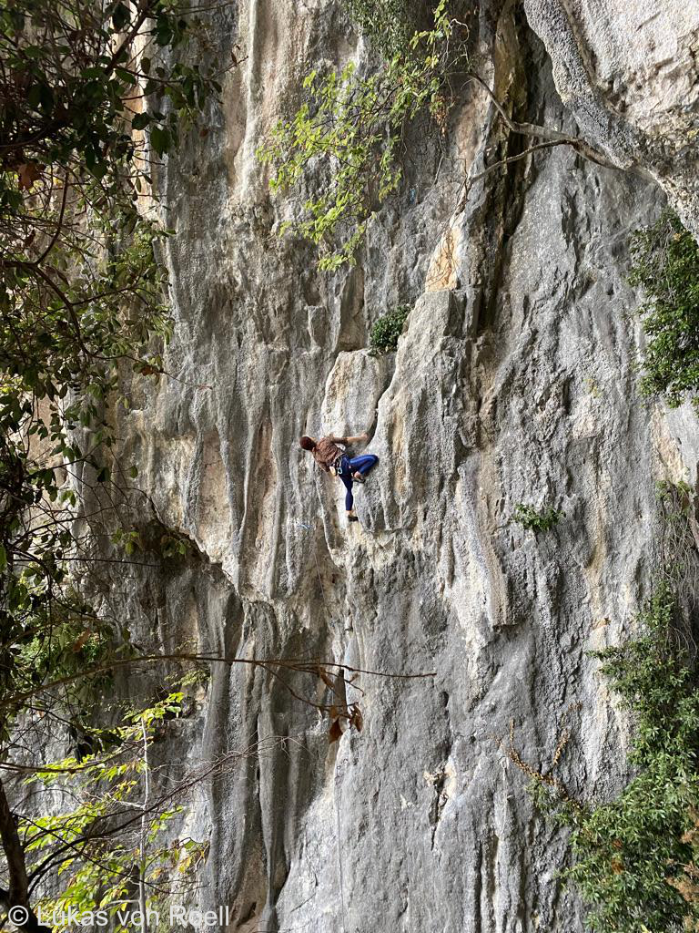 Terry scaling a vertical rock face surrounded by lush greenery, showcasing her adventurous spirit and connection to nature.